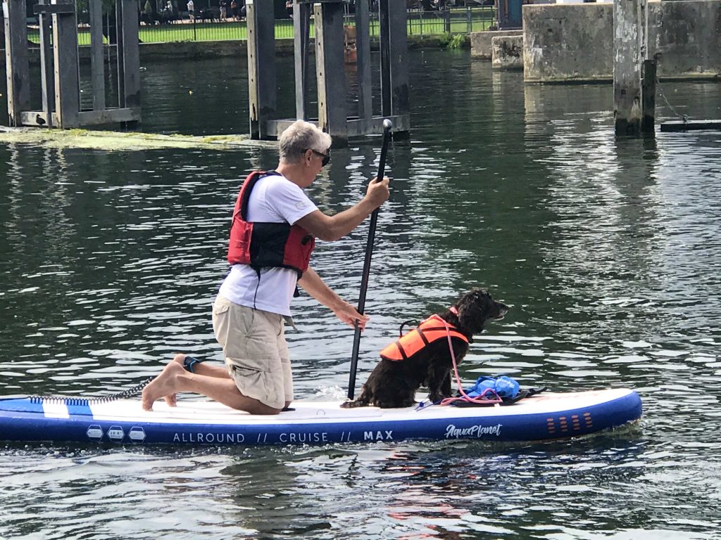 Paddleboarder